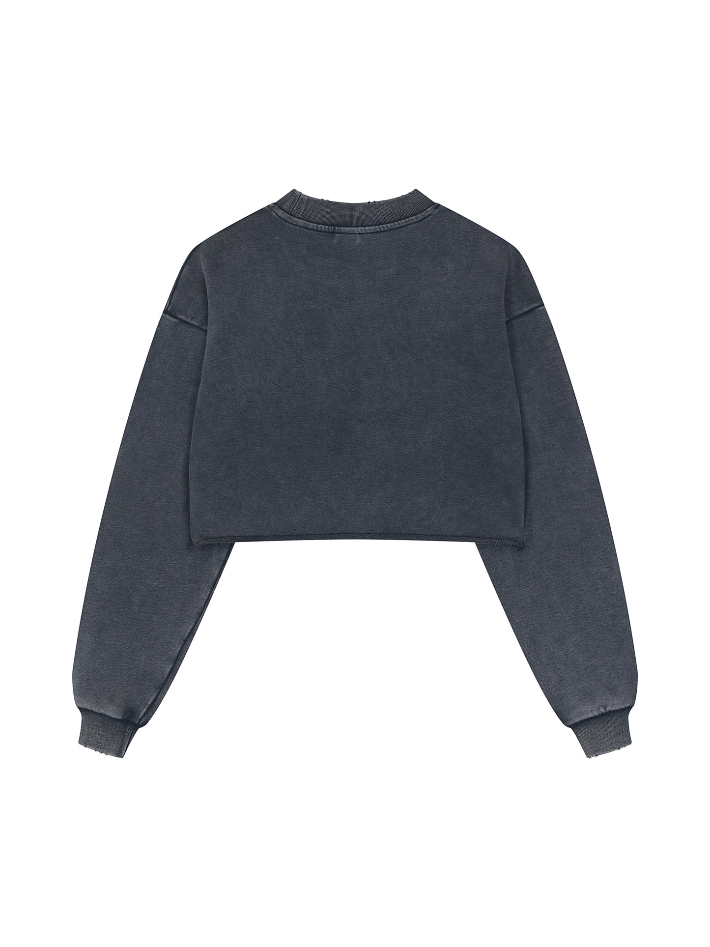 Heavyweight RoamLayer Washed Crop